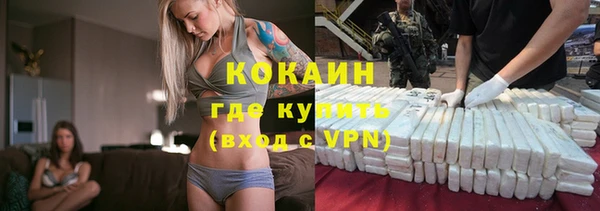 молекула духа Каменка