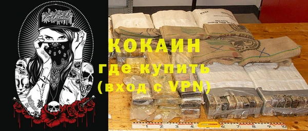 молекула духа Каменка